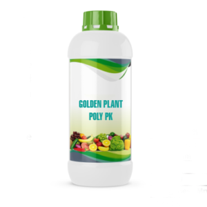 GOLDEN PLANT POLY PK