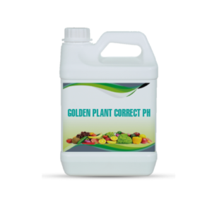 GOLDEN PLANT CORRECT PH