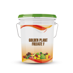 GOLDEN PLANT FULVATE F