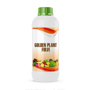 GOLDEN PLANT FULVI