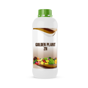 GOLDEN PLANT ZN