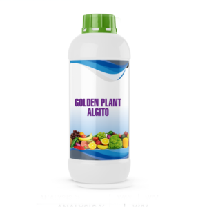 GOLDEN PLANT ALGITO