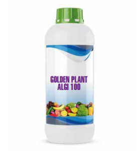 GOLDEN PLANT ALGI 100